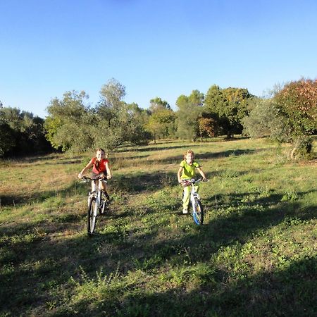 Apartament Les Olives Uzès Zewnętrze zdjęcie